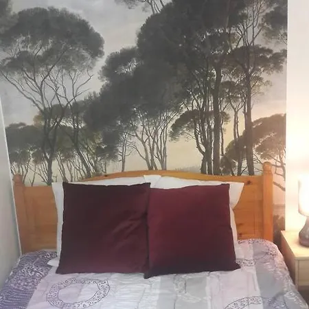 Superbe Confortable Et Lumineuse En Homestay